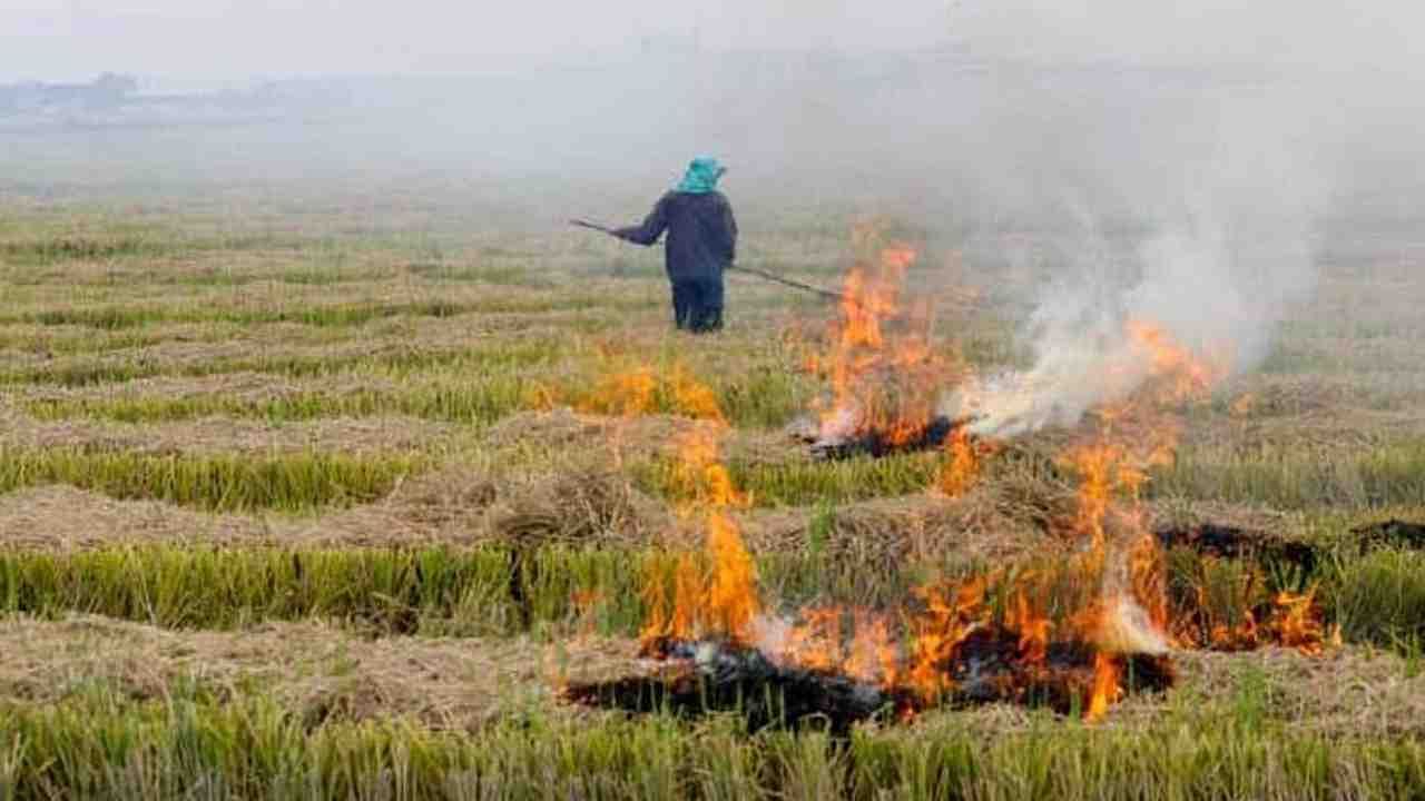 Claims proved on paper, stubble burnt in more than 81000 places in last two  months