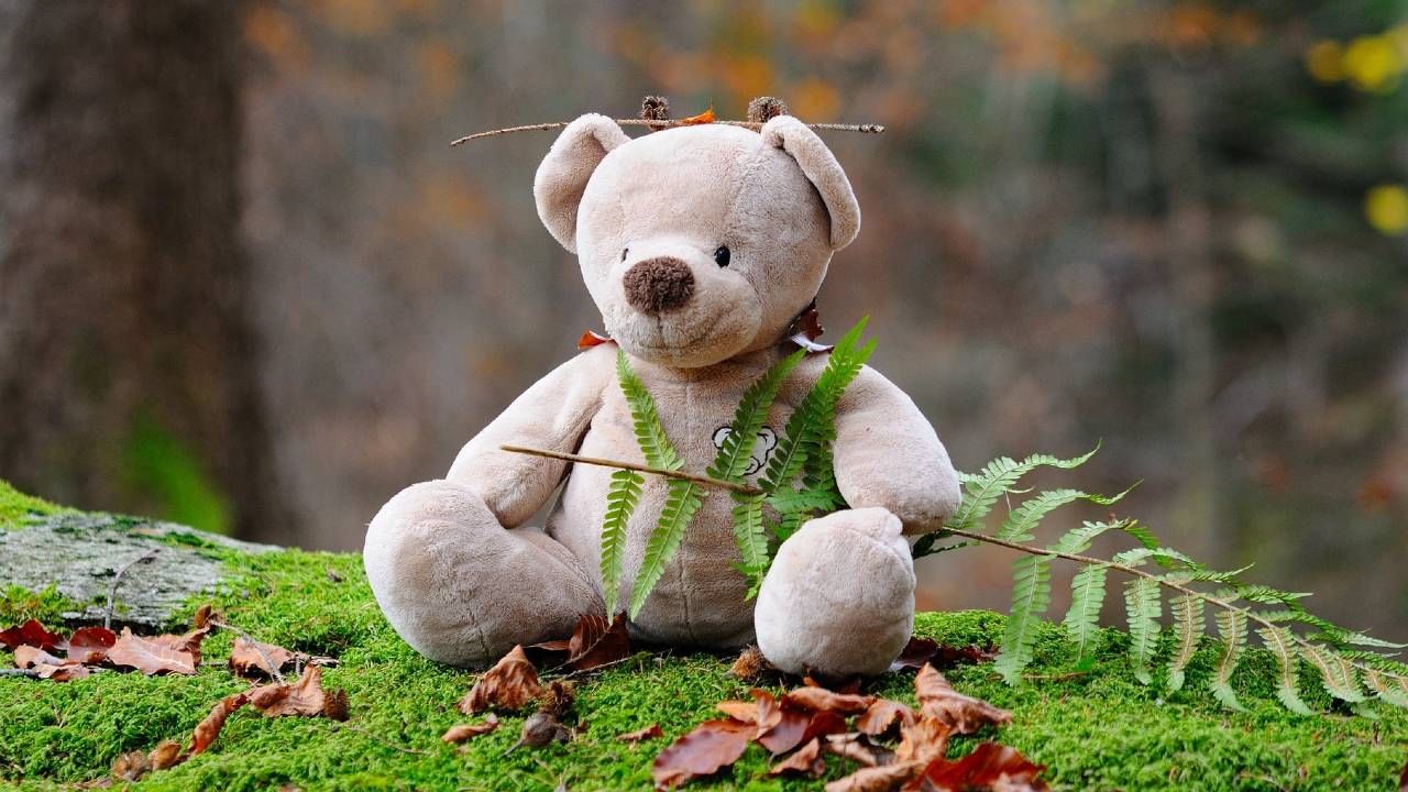 Valentine Week: 5 Most Expensive Teddy Bears In The World! The cost of one  is more than a crore rupees, interesting is the story of every teddy