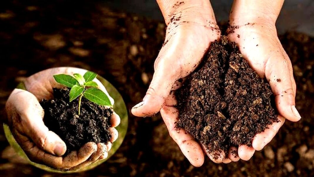 दो योजनाओं से जैव‍िक खेती को बढ़ावा दे रहा है कृष‍ि मंत्रालय, 50 हजार रुपये प्रत‍ि हेक्‍टेयर देती है व‍ित्‍तीय मदद