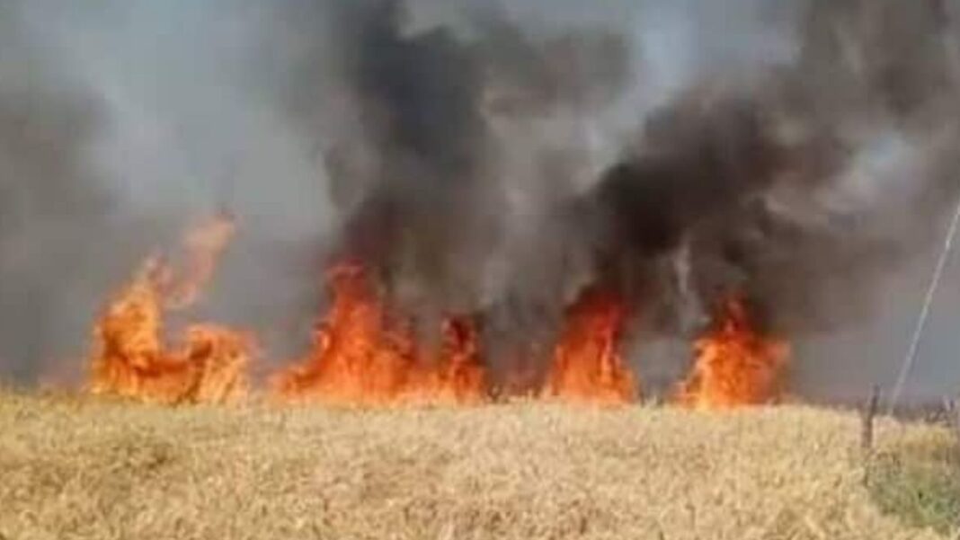 Bihar: सासाराम में गेहूं की फसल में लगी आग, 17 बीघे की फसल जलकर खाक, सोमवार को भी हुई थी भीषण आगलगी